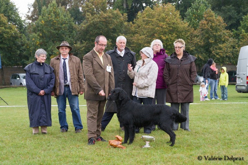 Charlem Black Finale BIS Nationale d'lavge RCF 2013