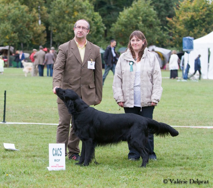 Charlem Black CACS Nationale d levage 2013