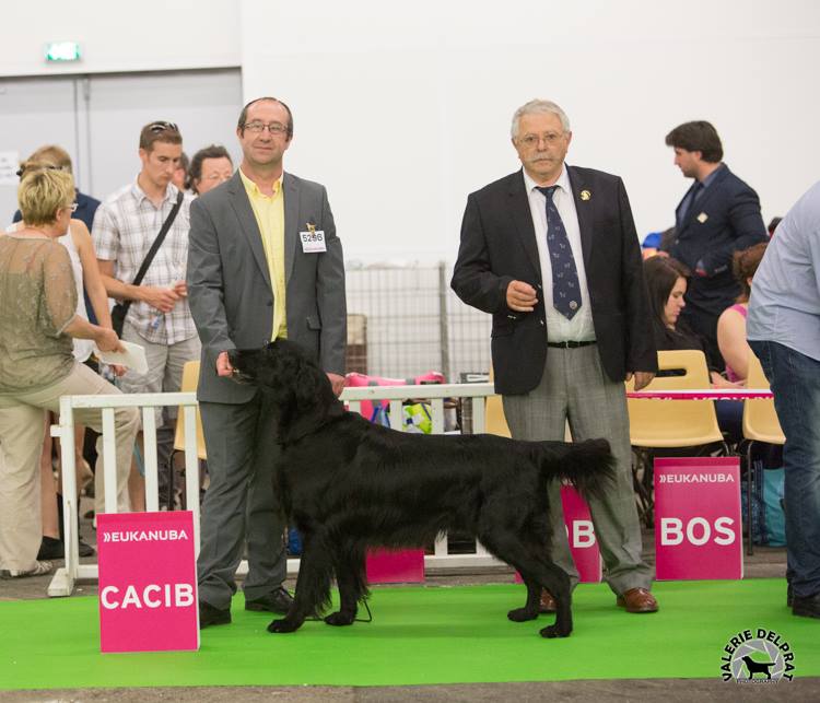 charlem black championnat de france 2014
