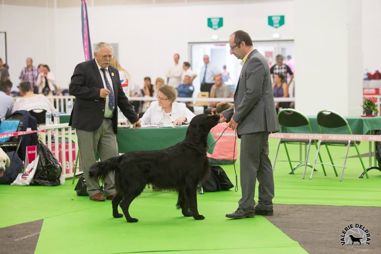 charlem black champion de france