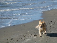 slides/IMG_0037.JPG IMG_0037
