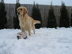 slides/IMG_2553.JPG IMG_2553