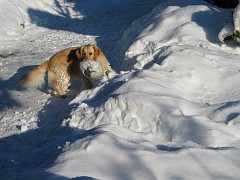 slides/IMG_2766.JPG IMG_2766